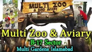 Multi zoo Islamabad.... Where u can feed animals with own hands #zoo #animals #islamabad #enjoy 