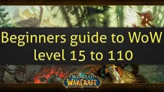 Beginners guide to World of Warcraft level 15 to 110 and your first dungeon