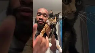 DON&rsquo;T CHANGE THE CAT FOOD