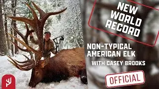 New World Record Bull