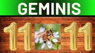URGENTE GEMINIS  ESTA POR SUCEDER 😱 FUERTE REVELACION 🙏😍💫 💐✨🌹📞HOROSCOPO 🔔 ORACULO TAROT DE CRIS