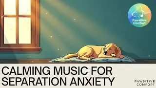 Pawsitive Comfort | Calming Music to Leave Dog Alone Relaxing Sounds for Separation Anxiety