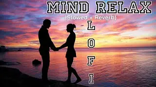 Mind Relax Lofi Mashup | Hindi Bollywood | Songs | Slowed x Reverb | Feel This Vibes