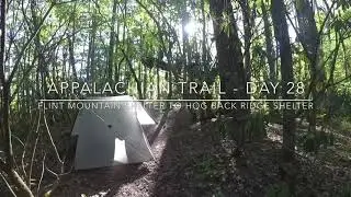 AT Day 28 - Flint Mountain Shelter to Hog Back Ridge Shelter