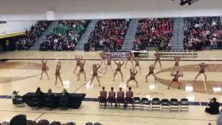 Eastview Dance Team Jazz 2017 Section 1AAA