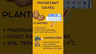 Potato Fast Facts #agscience #potato #leavingcert #leavingcert2022