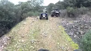 Un paseo por el monte