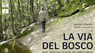 LA VIA DEL BOSCO. SULLE TRACCE DELL’ALLEANZA TRA UOMO E FORESTA