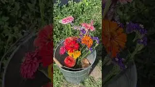 who knew picking flowers could be so therapeutic 😌#flowerpicking #dateideas #toronto #shorts