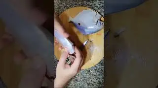 how to cut a pomfret fish within 1 minute #shorts #ytshorts
