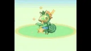 [LIVE] Shiny Kecleon on route 120 in Ruby/Sapphire