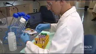 Brady Laboratory Identification Solutions