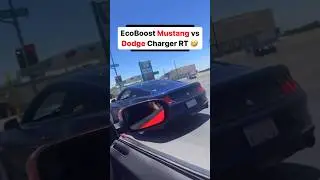 Mustang EcoBoost vs Charger RT! 🏎️