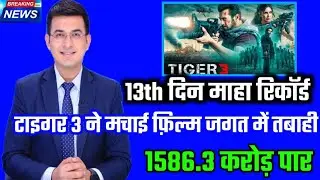 Tiger 3 10th Day Box Office Collection | Tiger 3 Advace Booking Record | #tiger3