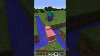 Minecraft meme #1