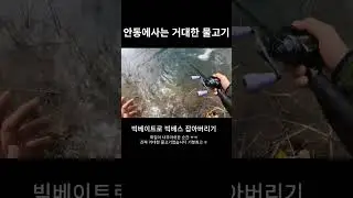 빅베이트로 빅배스 잡아버리기#shorts #bassfishing #drt #klash9 #artex #zero #50up #안동댐