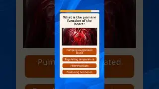 Brain, Heart, & Lungs Quiz: Discover Your Body's Vital Functions!