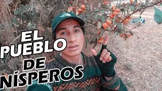 FUI a VISITAR el PUEBLO de NÍSPEROS en el VALLE DEL MANTARO | Matahuasi (Anthonnii Worldwide)