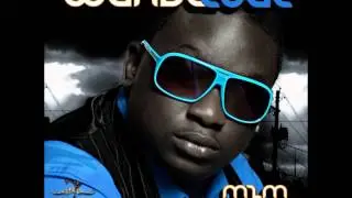 Wande Coal - I Know You Like It.