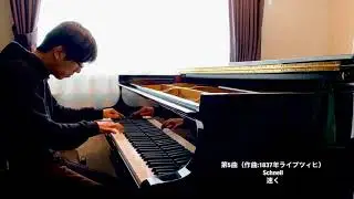 シューマン 《色とりどりの小品》op.99　3つの小品、アルバム綴り Ⅰ-Ⅴ Schumann Bunte Blätter op.99 Drei Stücklein, Albumblätter Ⅰ-Ⅴ