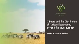 Climate and the Distribution of African Ecosystems, beyond the usual suspect