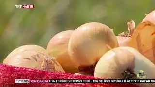 Gıda Habercisi 26. Bölüm - Gıda İsrafı