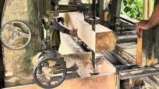 The discovery of expensive old teak wood at the sawmill