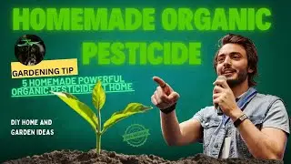 Kill PESTS With 5 POWERFUL Homemade Pesticides