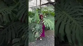 കുറ്റം പറയുന്നവരാകരുത് / ജീവിതത്തിൽ പരാജയപ്പെട്ടുപോകും #gardening #gardengossips