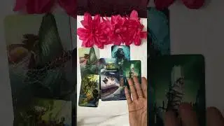 Hailey Bailey/DDG/Ruby Rose Tarot Reading Is it LOVE??