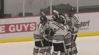 WDA Hockey
