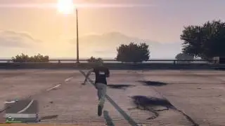 Highway Crossing Frog