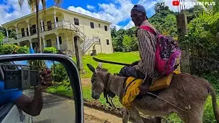 Touring the leeward side of St.Vincent and the Grenadines #travel #caribbean #stvincent 