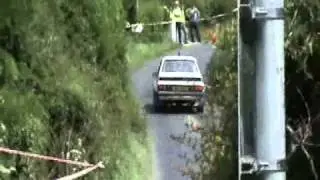 Cavan Stages Rally 2010
