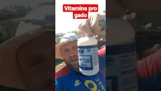 vitamina pra gado magro