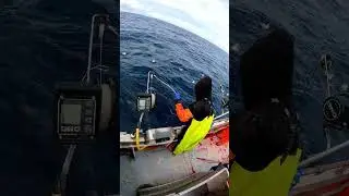 Fishing for Pollock #fishing #iceland #shorts #short #marweariceland