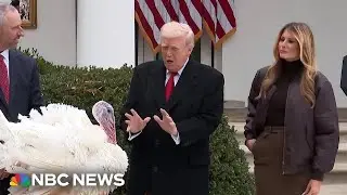 Trump pardons the 2025 Thanksgiving turkey Gobble