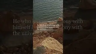 Marcus Aurelius: Find Peace in a Chaotic World | Stoic Wisdom