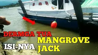 Mancing kakap bakau - mangrove jack / MJ !! Umpan udang hidup - spot dermaga tanggul tua
