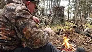 Brook Trout and a Lunch