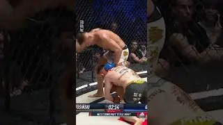 Grzebyk and Bartos with a fight of a year candidate 🔥 #mma #sports #ksw #fight