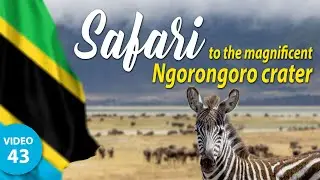 Amazing SAFARI to Ngorongoro crater in Tanzania - part one