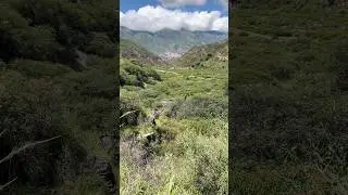 Quebrada de Escoipe, Salta