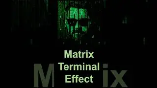 Matrix Screen in Terminal 👨‍💻
