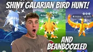✨Shiny Galarian Bird Hunt & BEANBOOZLED In Pokemon Go!✨