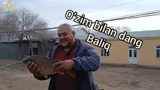 G‘ozovotda Ulug‘bek og‘omizdan tiri baliq yangi yil aksiyasi 