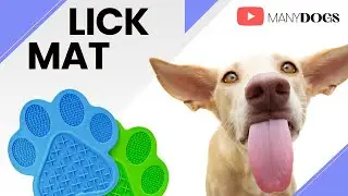 👅 Descubre fácilmente cómo utilizar una Lick Mat en la educación de tu perro 🐶