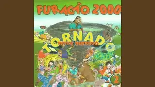 Pega Ladrão