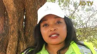 New Kwekwe gold mine owners Vigilante Resources promise better  prospects after mine acquisition