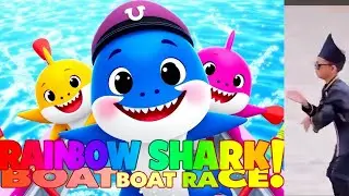 🚤 Baby Shark & Rainbow Sharks Boat Race Song 🦈 | Fun Kids Cartoon |